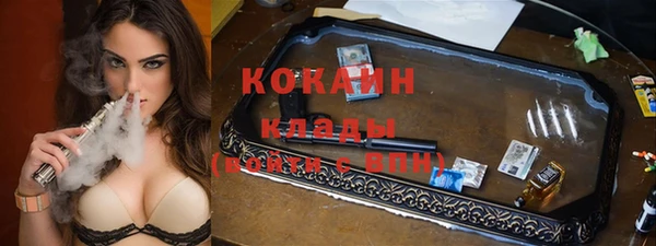 прущие грибы Алексин