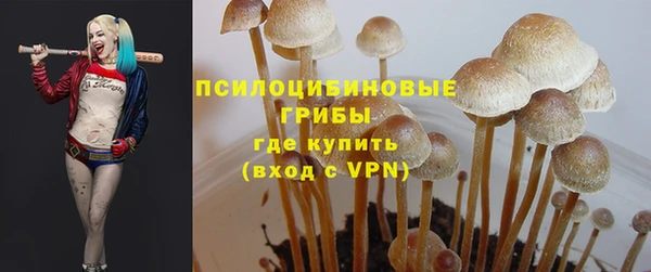 прущие грибы Алексин