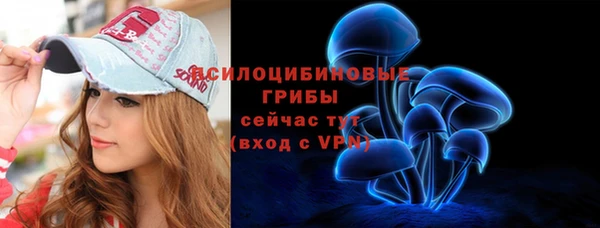 МДПВ Алексеевка