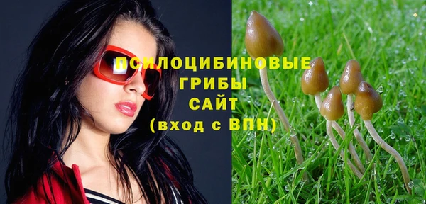 бошки Вяземский