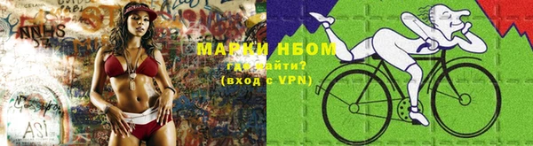 прущие грибы Алексин