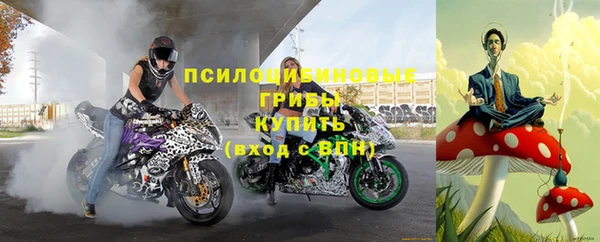 прущие грибы Алексин