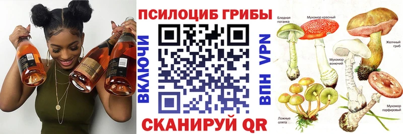 цены   Калининск  Псилоцибиновые грибы Cubensis 
